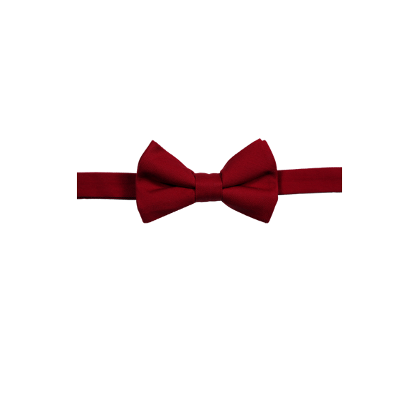 [BG] Teflon Treated Twill Bow Tie