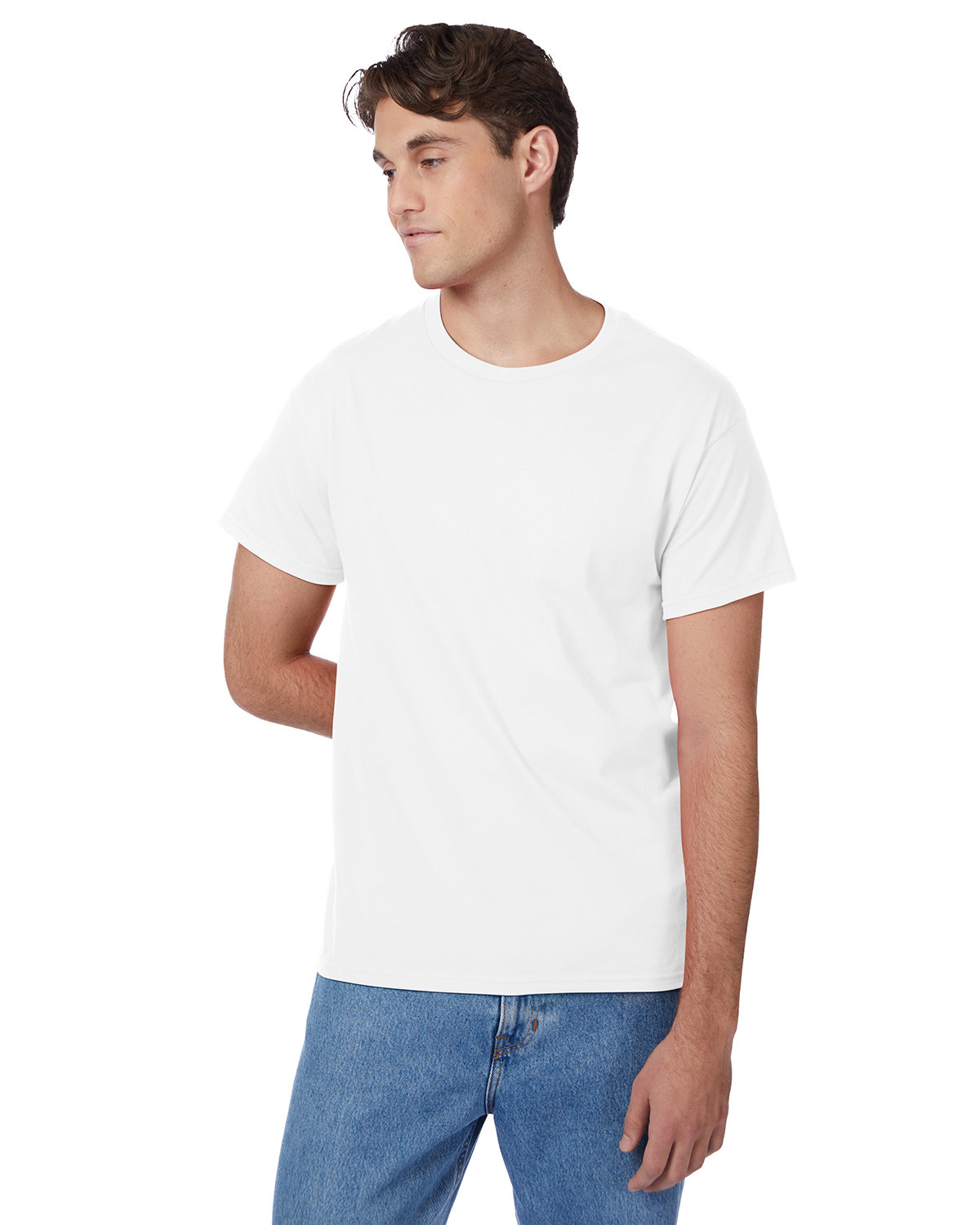 [AB] Hanes Men's Authentic-T T-Shirt